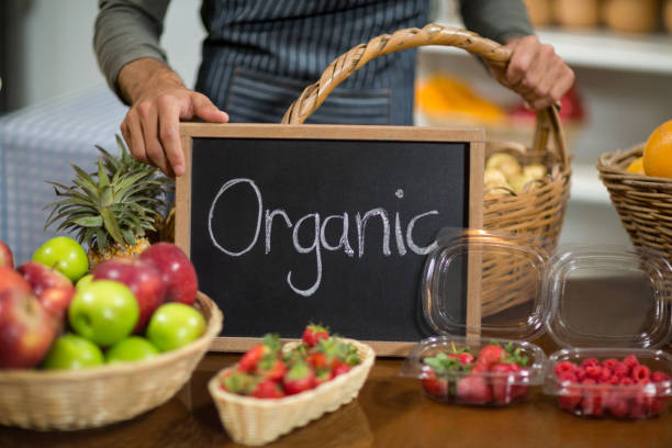 Why Are Organic Foods Becoming a Daily Choice Instead of a Luxury?