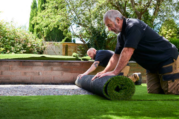 professional landscaping in Hertford