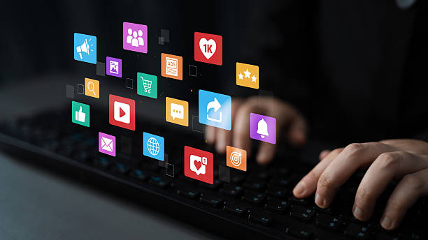 web designer in Hastings
